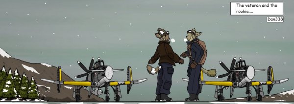 "The Veteran & the Rookie" (North Strelkan air force, P36-A fighters) - by Daniel Salgues ("dan338")