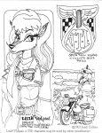 Lesle Vulpani, motorcycle racer by Jerry Collins