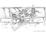 Curtiss 'Seagull' floatplane (thumbnail) by Wolfie DarkWolfie